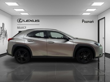 Lexus UX 2022 Lexus UX 250h GPF F Impression 2WD, zdjęcie 5