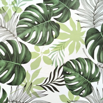 Gruba cerata LIŚCIE MONSTERY