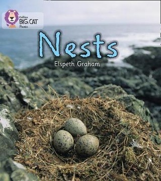 NESTS: Band 02a/Red a - Elspeth Graham