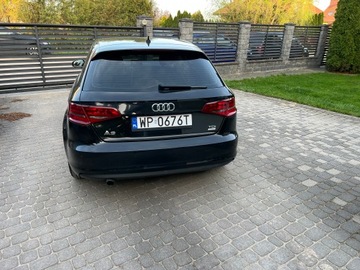 Audi A3 8V Hatchback 3d 1.6 TDI clean diesel 110KM 2014 Audi A3 2015R Skóra Klimatronik Tempomat Navi Alu Felgi 6-Biegów Bezwypadek, zdjęcie 26