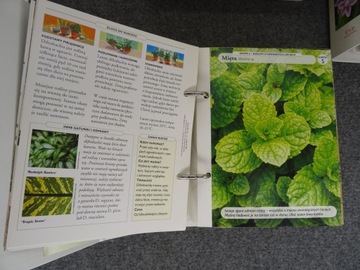 Набор из 6 каталогов ДОМ, ПОЛНЫЙ ЦВЕТОВ Азбука горшечных растений