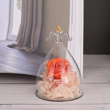 ВЕЧНЫЙ ЦВЕТОК В СТЕКЛЕ ЗНАКА ЗОДИАКА СТРЕЛЕЦ УНИВЕРСАЛЬНЫЙ ПОДАРОК