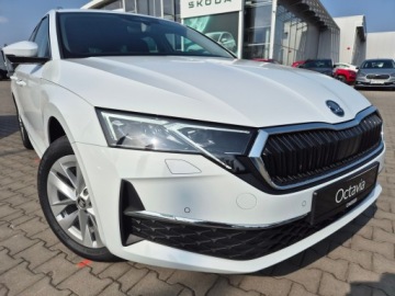 Skoda Octavia IV Kombi 2.0 TDI 150KM 2026 Skoda Octavia Edition 130 2.0 TDI DSG Auto z placu, zdjęcie 6