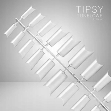 Типсы Hessi Nail Tips туннельные типсы 240 шт.