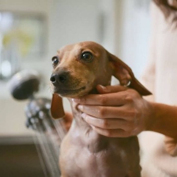 Мыло для собак Oxygenics PawSpa с дозатором шампуня