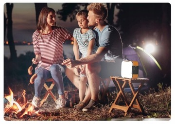 Портативная электростанция FlashFish + солнечная панель