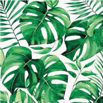 Serwetka kwadrat papier 33 cm x 33 cm TETEaTETE