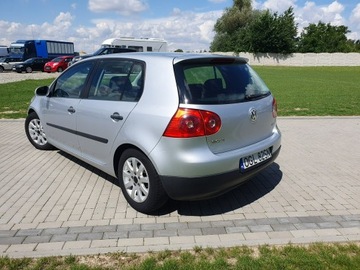 Volkswagen Golf V Hatchback 1.9 TDI 105KM 2004 Volkswagen Golf 1.9tdi 105KM 5 Drzwi Klima Raty, zdjęcie 33