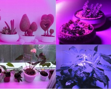 Светодиодная лента 5630 Blue GROW для растений 100см