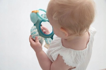 DOLCE TOYS ПОДАРОК ​​НОВОРОЖДЕННОМУ, ЧЕРЕПАХА, ЧЕРЕПАХА