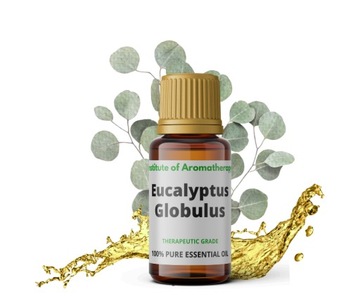 Olejek Eukaliptus Globulus ORGANIC Instytut Aroma