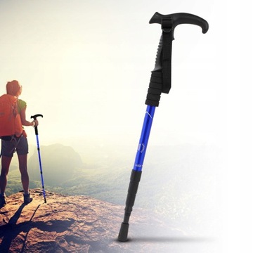 ЛЫЖНЫЕ ПАЛКИ ДЛЯ ПОЖИЛЫХ ЛЮДЕЙ STICK