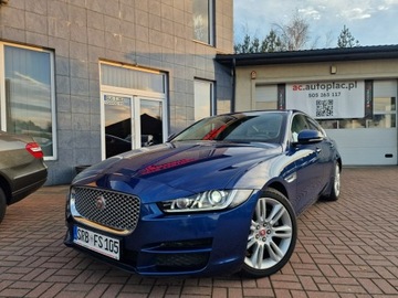 Jaguar XE Sedan 2.0 i4 180KM 2015 Jaguar XE Prestige Automat Xenon Ledy Navi