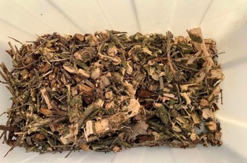 Электрический измельчитель ветвей. ЛИДЕР ПЛЮС 2800ВТ