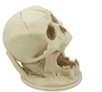 Башня для игры в кости с черепом «Поцелуй пустыни»