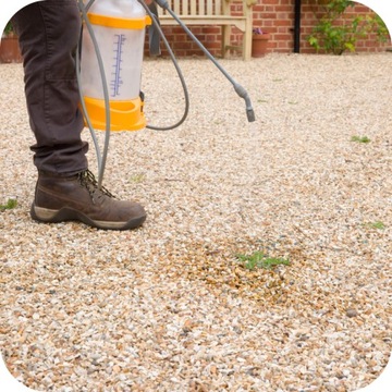 ROUNDUP FLEX 480 1L RANDAP ПОДАВЛЯЕТ РОСТ И РАЗВИТИЕ СОРНЯКОВ.