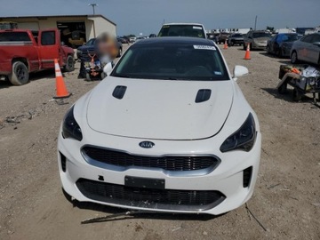 Kia Stinger 2019 Kia Stinger 2019 KIA STINGER 2.0 Benzyna 255KM, zdjęcie 2
