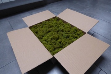 Натуральный крабовый мох ПРЕМИУМ картон 600г