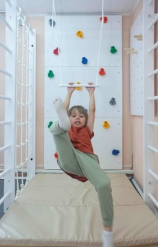 ГЛАВНАЯ ДЕТСКАЯ ПЛОЩАДКА ЛЕСТНИЦА ДЕРЕВЯННАЯ ДЭВИД КАРУССЕЛ