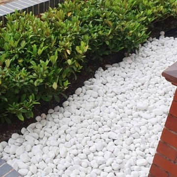 Прочные белые камни Декоративная галька для сада Премиум Тасос 1 кг