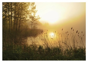Fototapeta PORANNA MGŁA 3D Jezioro Natura 416x254