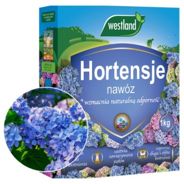 NAWÓZ DO HORTENSJI rododendronów wrzosów OBFITE KWITNIENIE 1KG WESTLAND
