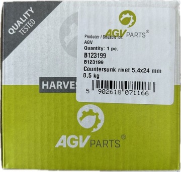 Paczka Nitów Płaskich 5,4x24mm *0,5kg* B123199 244027 AGV
