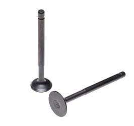 Впускной и выпускной клапан для комплекта Sym Orbit 4t.