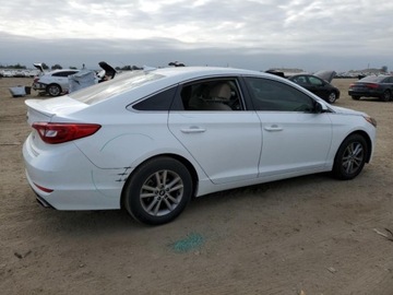 Hyundai Sonata V 2017 Hyundai Sonata HYUNDAI SONATA SE, 2017r., 2.4L, zdjęcie 2