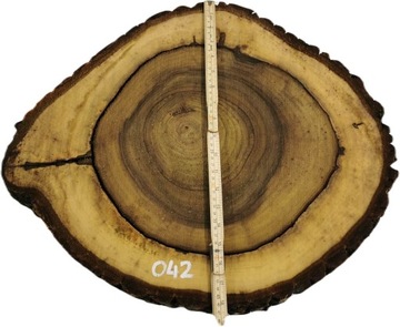 Срез грецкого ореха 53х45 Необычной формы