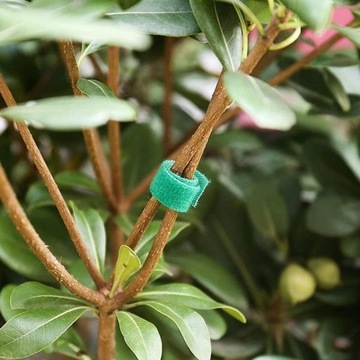 ЛЕНТА-ВЕЛКРО ДЛЯ ОБВЯЗКИ ЦВЕТОВ ПОМИДА, ПУЗЫРЕЙ И ДЕРЕВЬЕВ - 5 МЕТРОВ