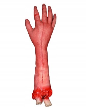 SZTUCZNA ODCIĘTA RĘKA KOŚĆ DŁOŃ HALLOWEEN HORROR