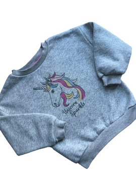 Bluza dziecięca PRIMARK r. 104-110 cm