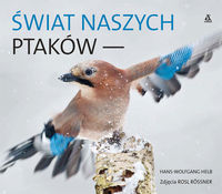 Świat naszych ptaków - Helb Hans-Wolfgang
