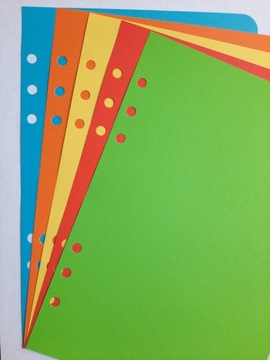 ЦВЕТНАЯ вставка в блокнот-планировщик 6 А5 INTENSIV RINGS