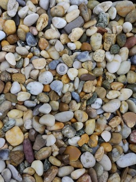 LAS W SŁOIKU OTOCZAK MIX MIODOWY RZECZNY 0,5 KG