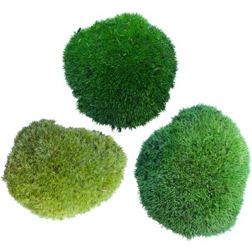 Подушка мох ПРЕМИУМ Темно-Зеленый Картон 0,06 м2