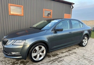 Skoda Octavia III Liftback Facelifting 1.4 TSI 150KM 2018 Skoda Octavia 1,4 150KM, Salon Polska, Bezwypadkowy, Idealny Stan, Nowy Ro, zdjęcie 8
