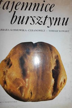 Tajemnice bursztynu - Barbara Kosmowska