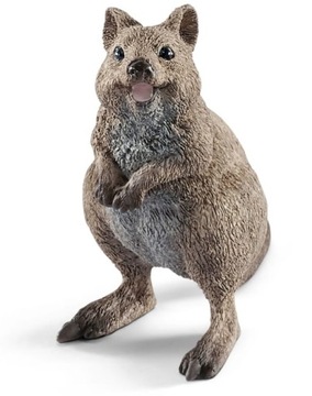 Kuoka Krótkoogonowa Schleich Wild Life 14823