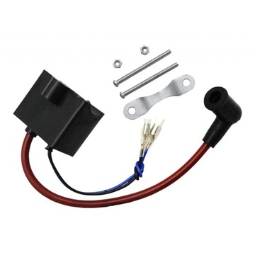 2-тактный двигатель 49cc 60cc с моторизованным зажиганием