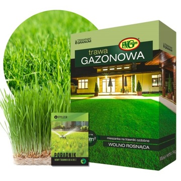 TRAWA NASIONA Ogrodowa Dekoracyjna Gazonowa Wolno Rosnąca GĘSTY TRAWNIK 1kg