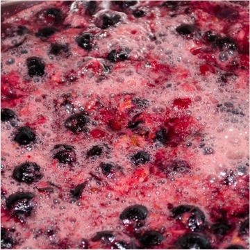 Смородина черная сублимированная 100г HiFOOD