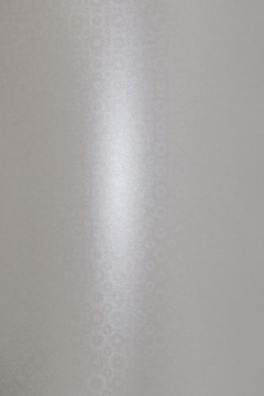 Papier Aster Metallic 250g srebrny kółka 3D 10A4