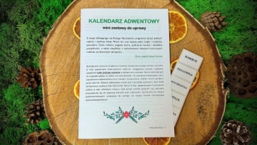 АДВЕНТ-КАЛЕНДАРЬ Растения для выращивания Набор своими руками из 24 коробок для детей 2023 г.