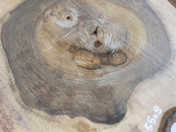 Орех Срез 57х55 Диски из пиломатериалов своими руками