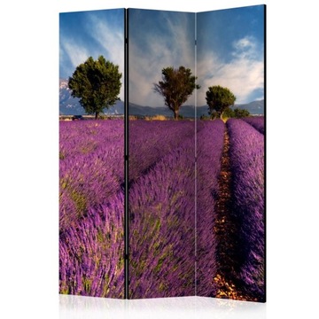 Parawan 3-częściowy - Lavender field in Provence,