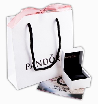 Charms Pandora - Uchwycone wspomnienia 791709CZ
