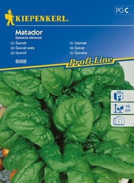 Szpinak 'Matador' - Mrozoodporny - Kiepenkerl