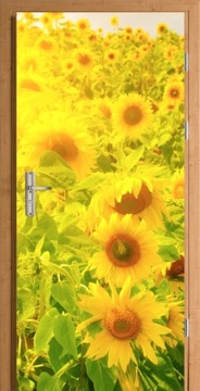 SŁONECZNIKI POLE DEKORACYJNA NAKLEJKA NA DRZWI